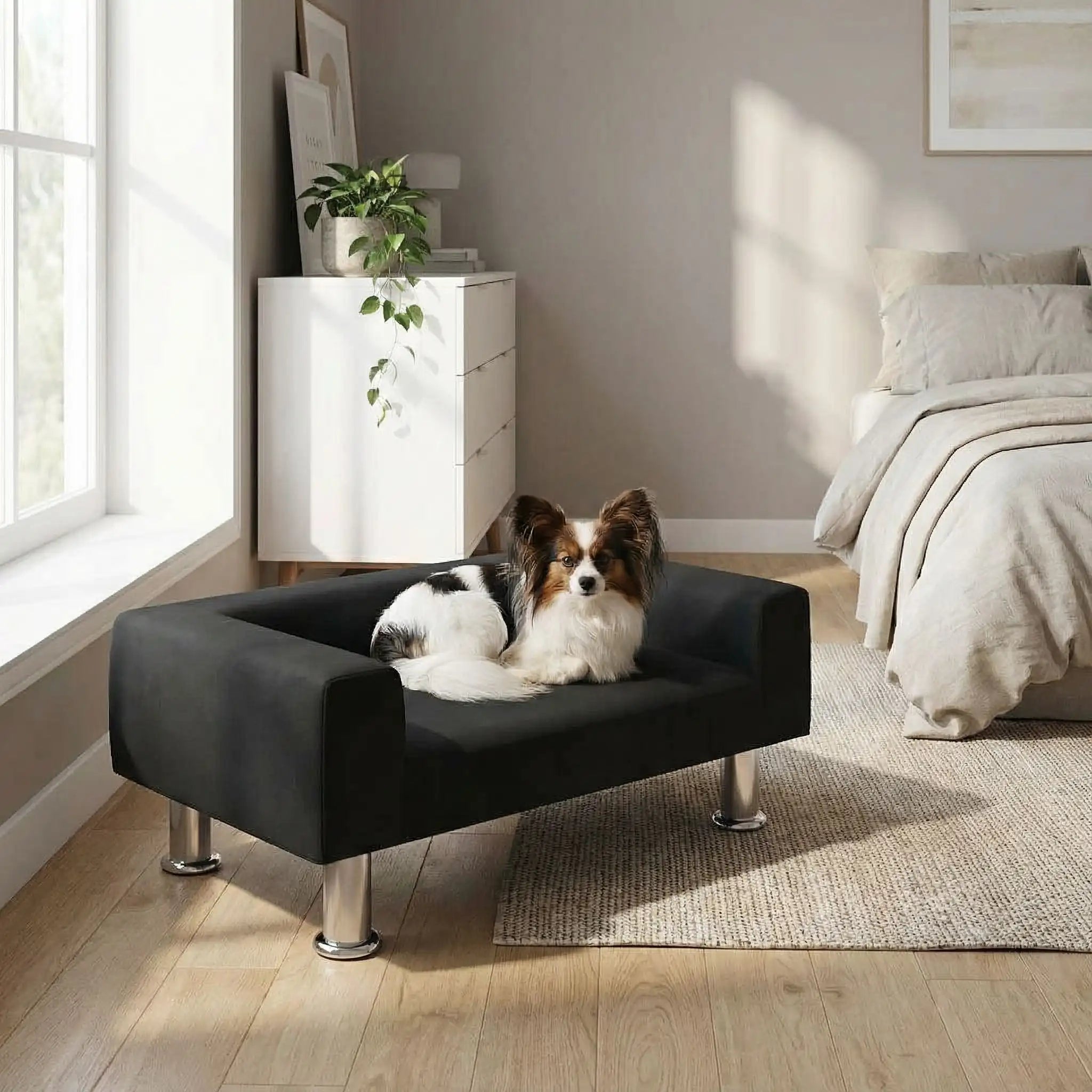 Mini canapé pour chien - DesignToutou™