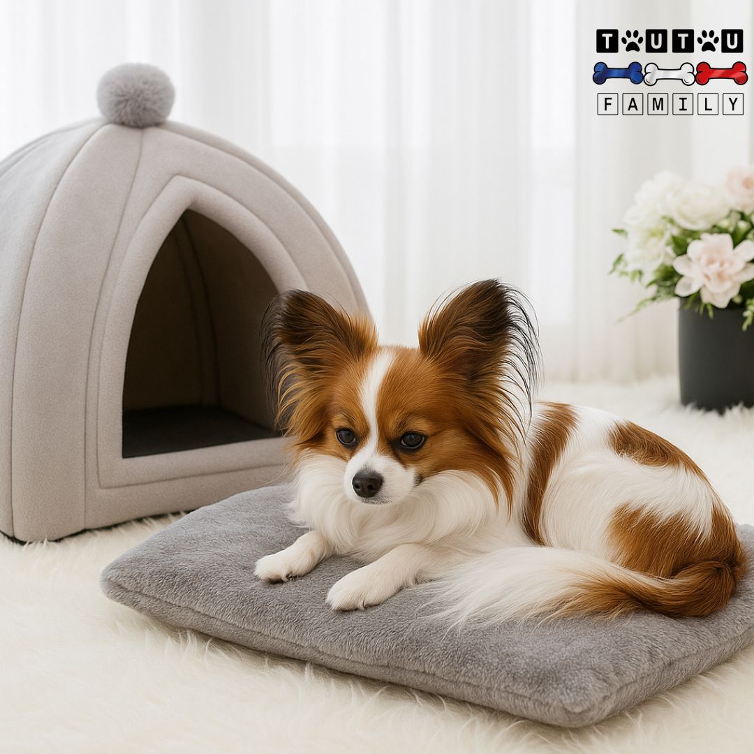 Niche d intérieur pour chien - PetitToutou™