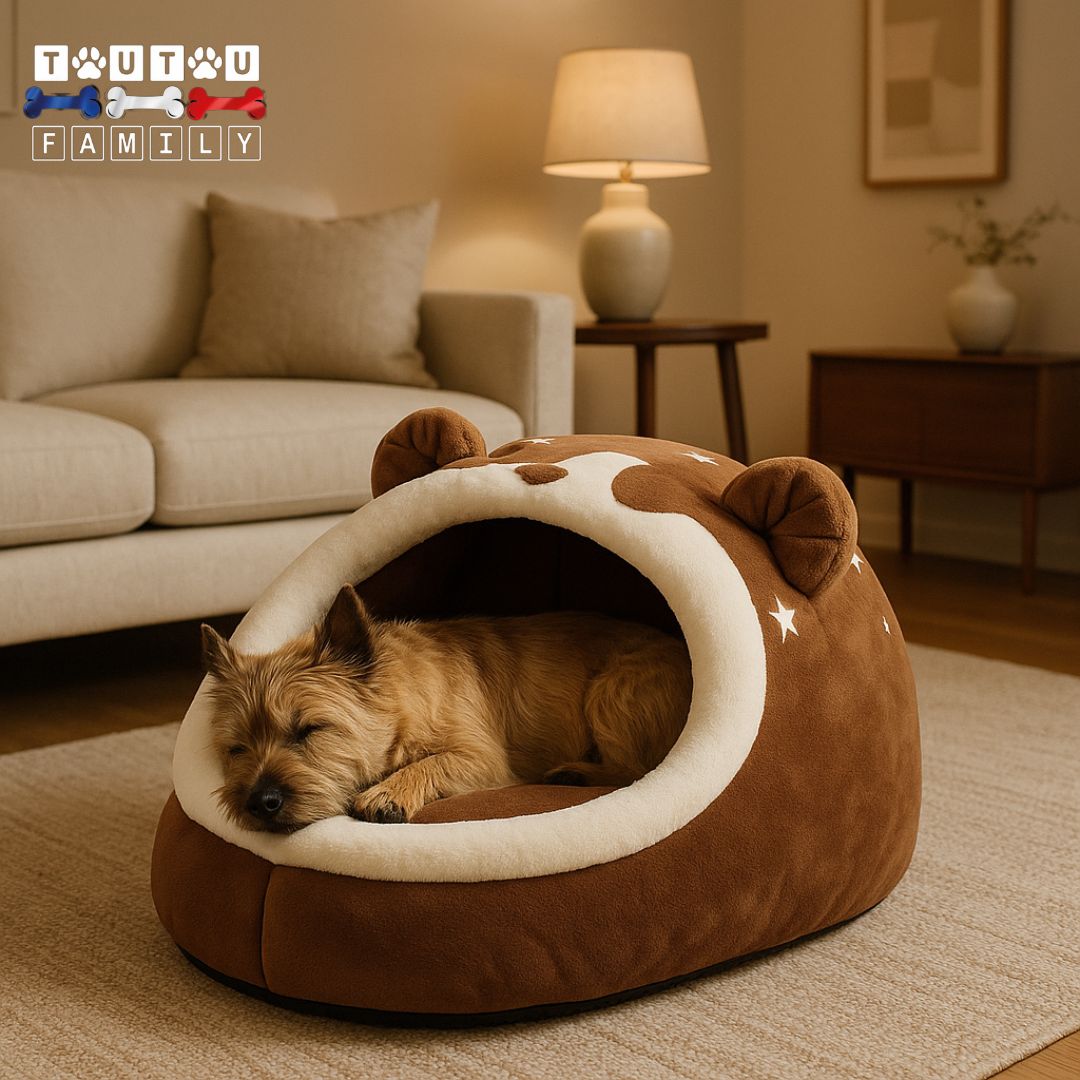 Niche panier pour chien - PetitToutou™