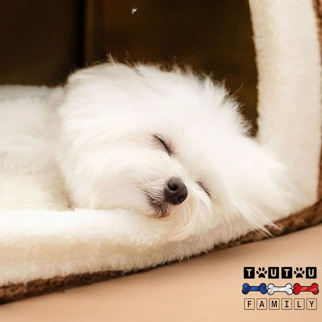 Niche pour chien intérieur - MaisonToutou™