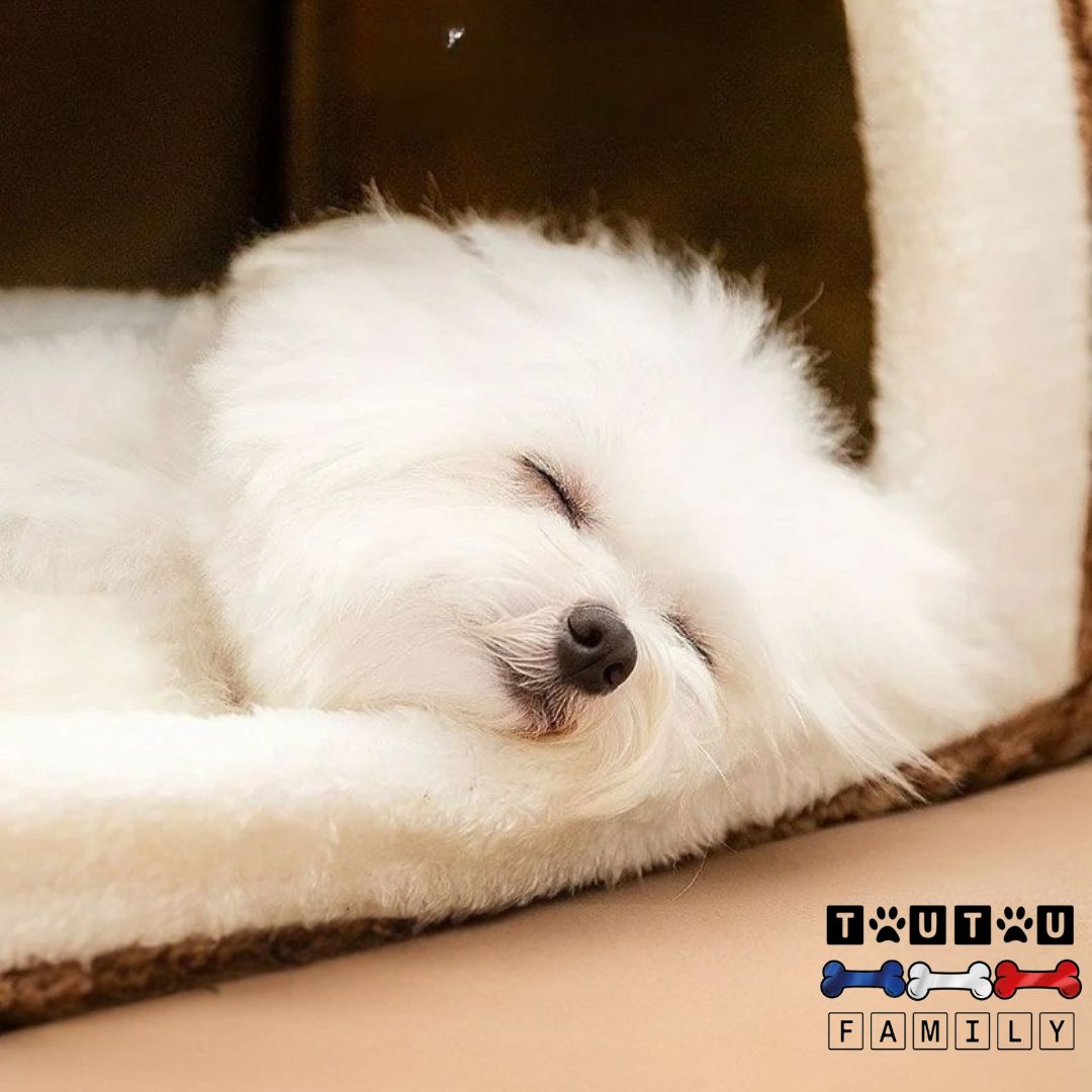 Niche pour chien intérieur - MaisonToutou™