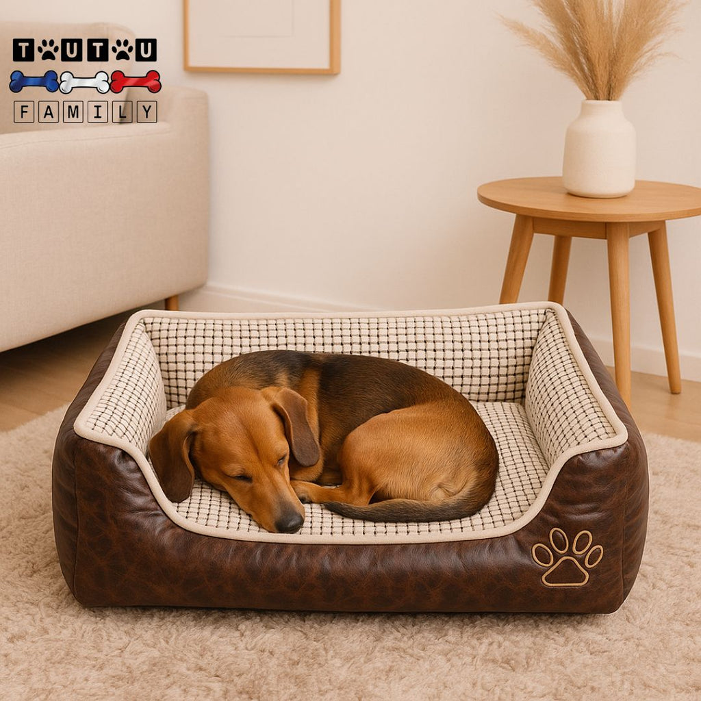 Panier chien dehoussable - DesignToutou™
