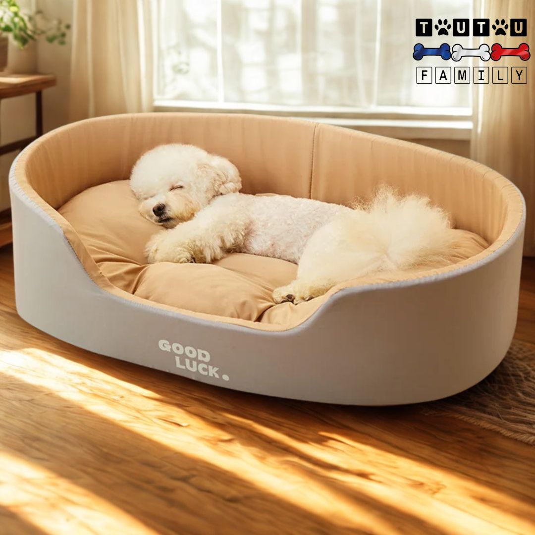 Panier chien lavable - ApaisantToutou™