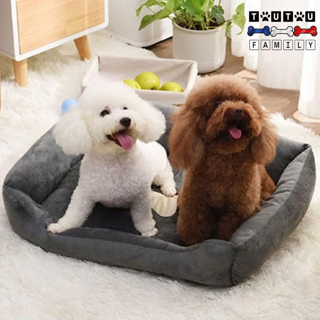 Panier chien - LavableToutou™
