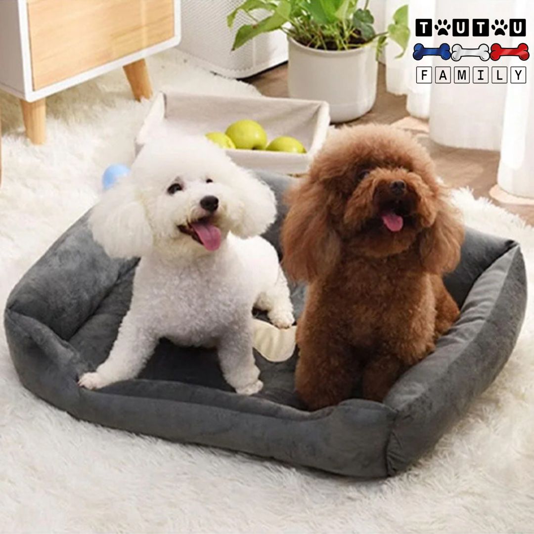 Panier chien - LavableToutou™