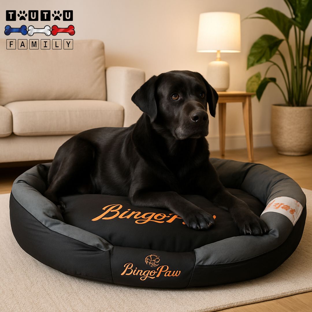 Panier chien XXL - DéhoussableToutou™
