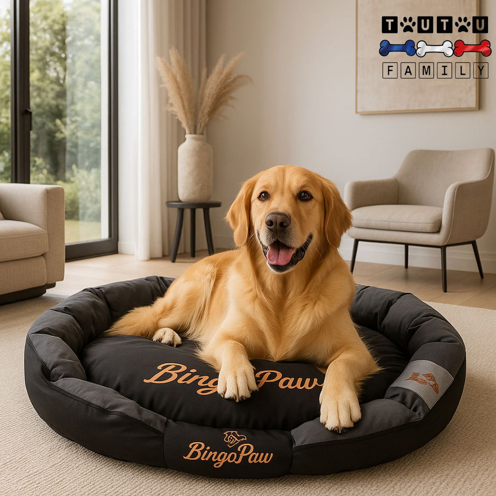 Panier chien XXL - DéhoussableToutou™