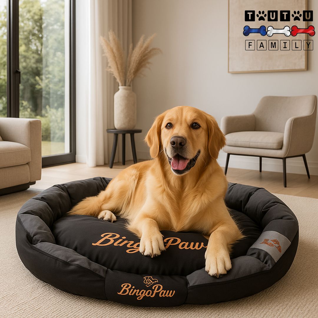 Panier chien XXL - DéhoussableToutou™