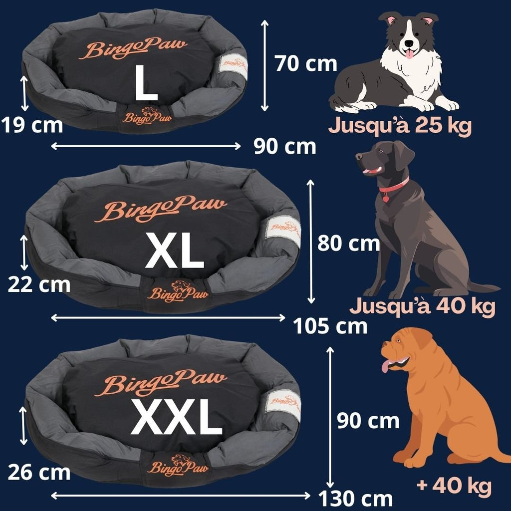Panier chien XXL - DéhoussableToutou™