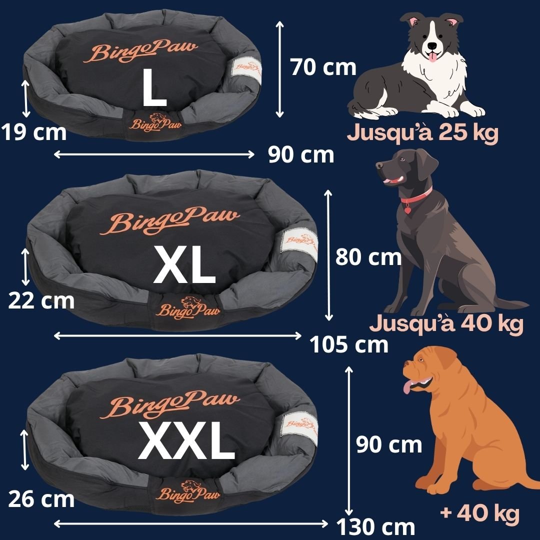 Panier chien XXL - DéhoussableToutou™
