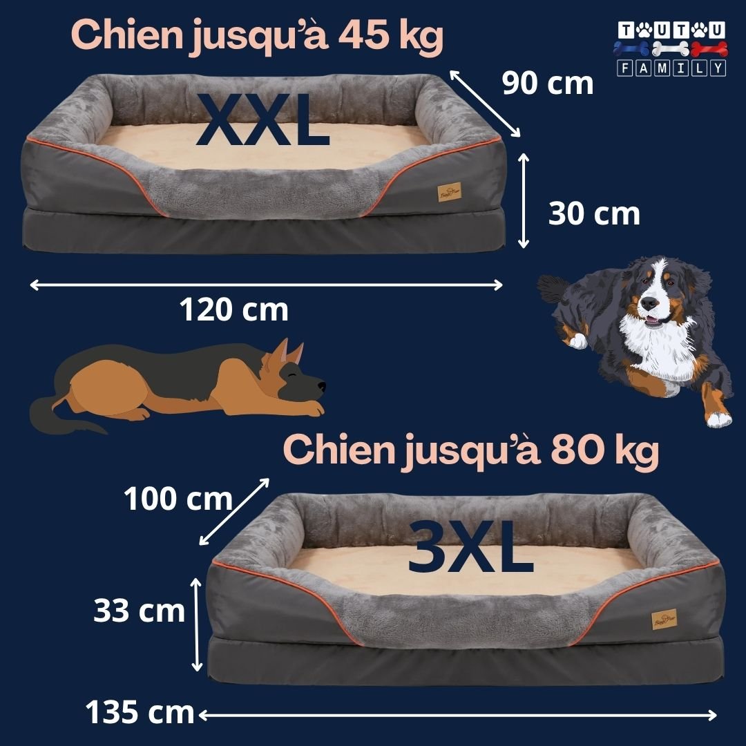 Panier grand chien - OrthopédiqueToutou™