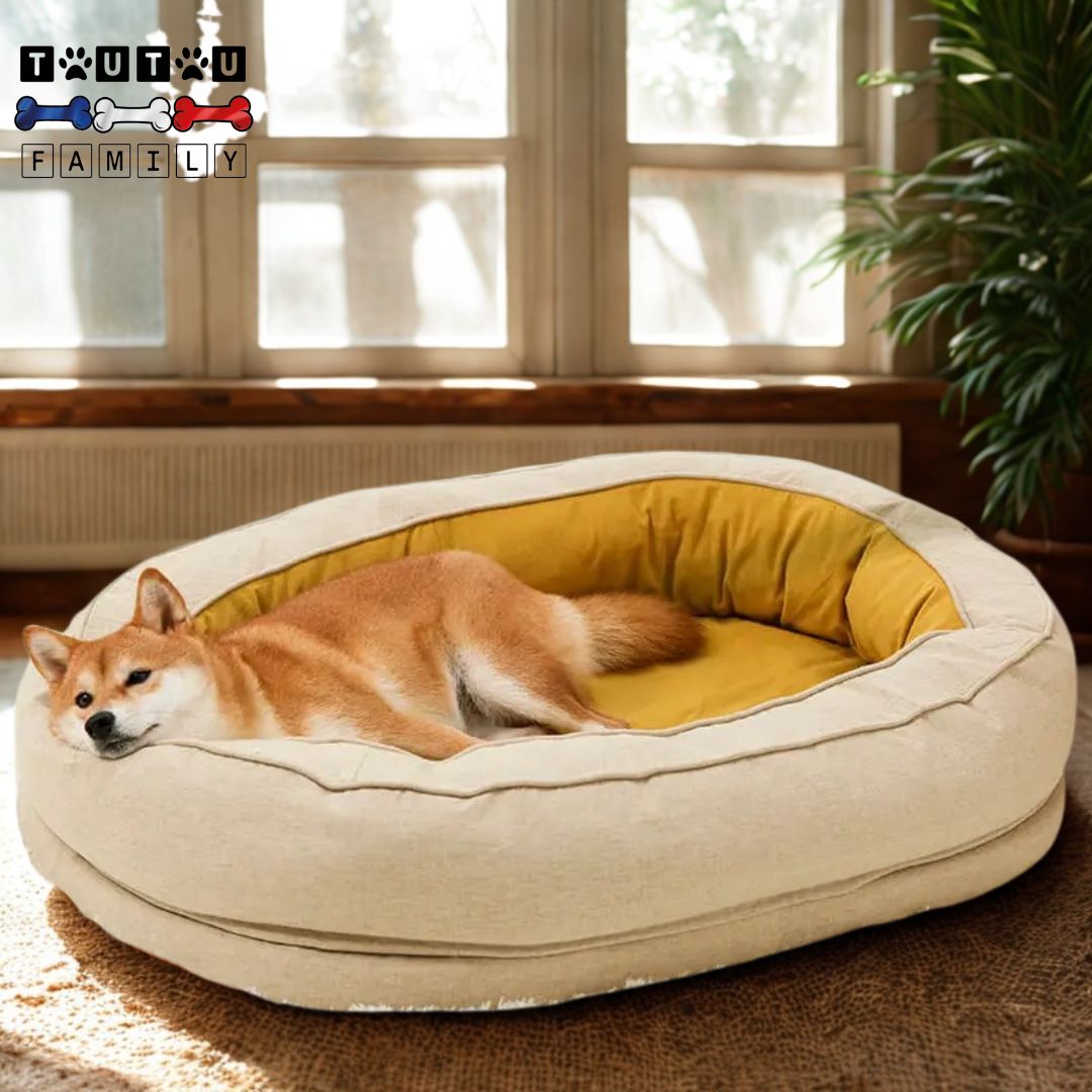Panier orthopédique chien - DéhoussableToutou™