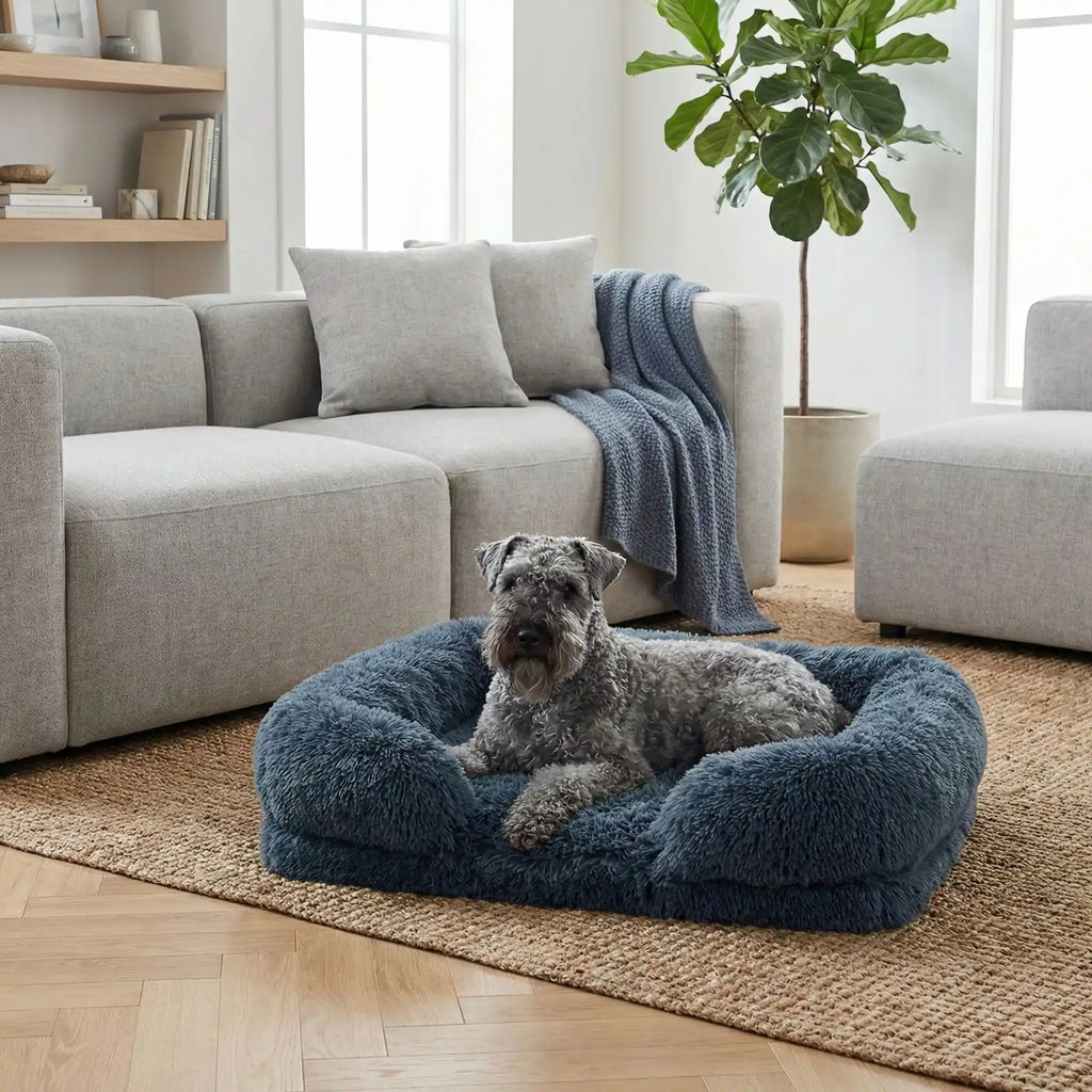 Panier orthopédique chien - PetitToutou™