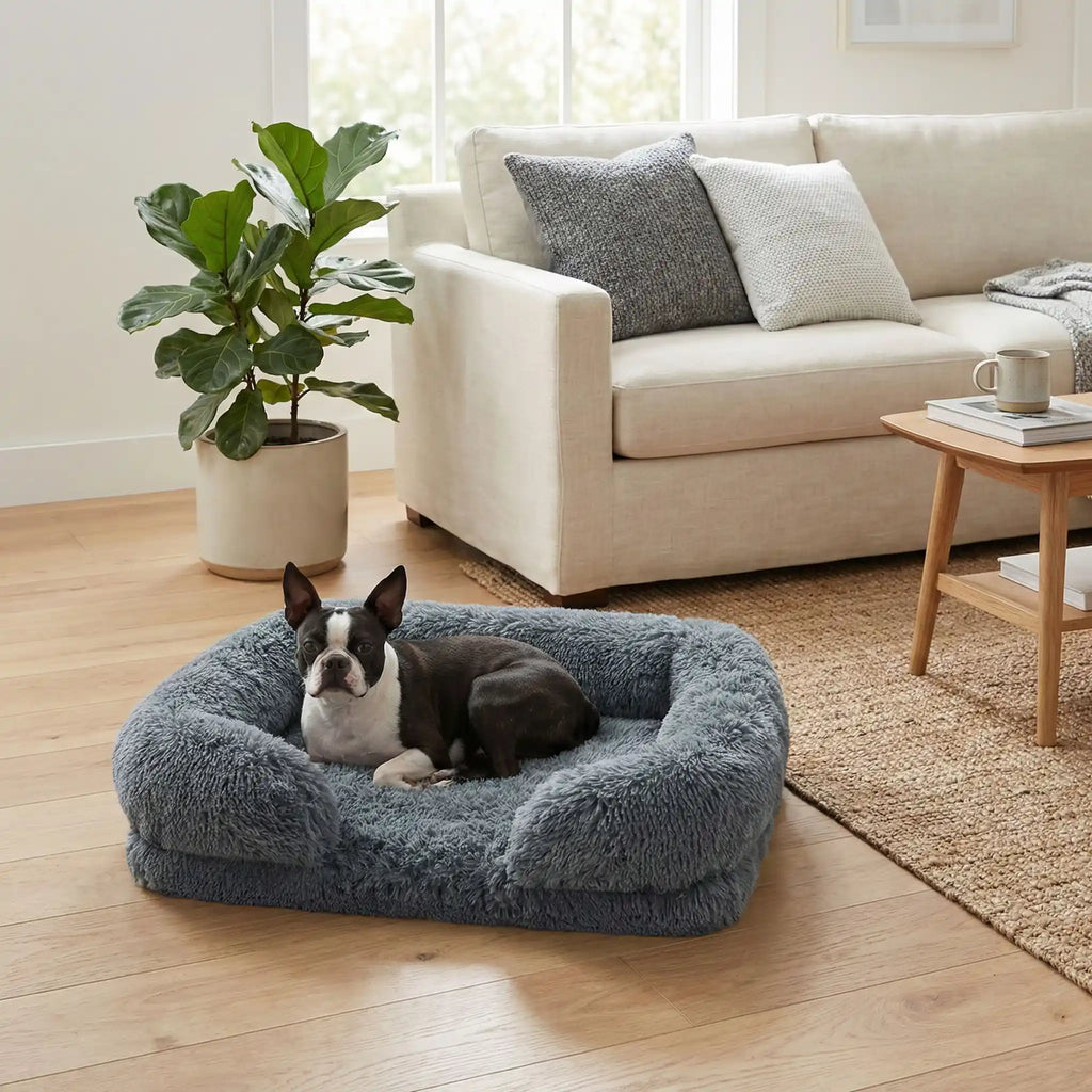 Panier orthopédique chien - PetitToutou™