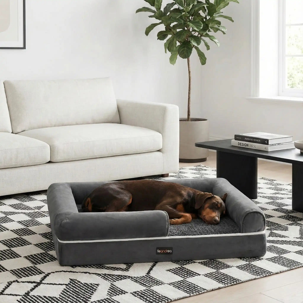 Panier orthopédique chien - MoyenToutou™