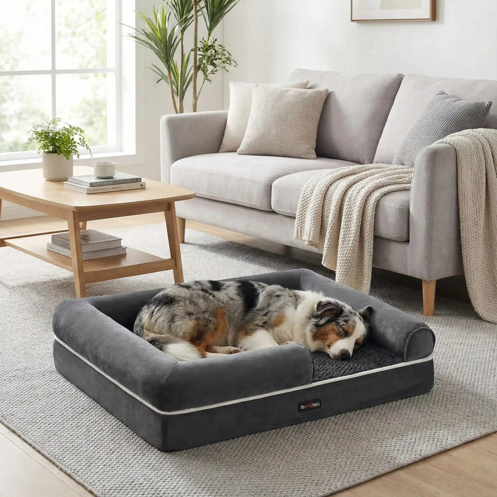 Panier orthopédique chien - MoyenToutou™