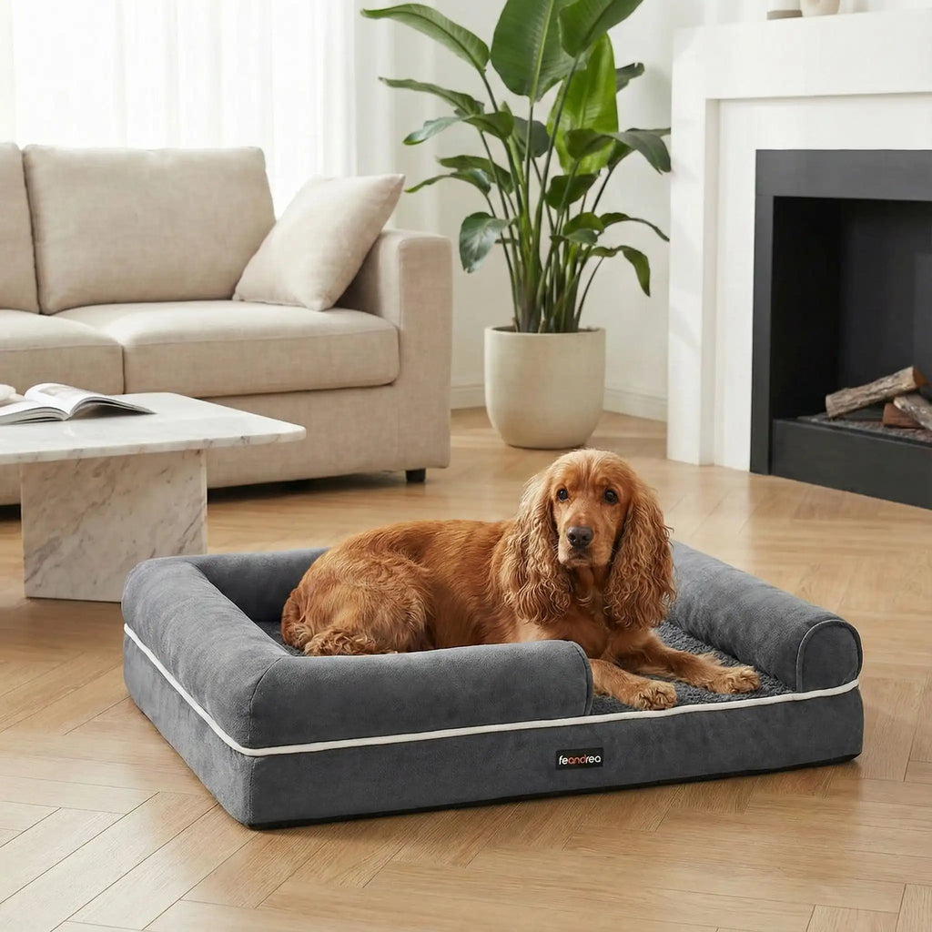 Panier orthopédique chien - MoyenToutou™