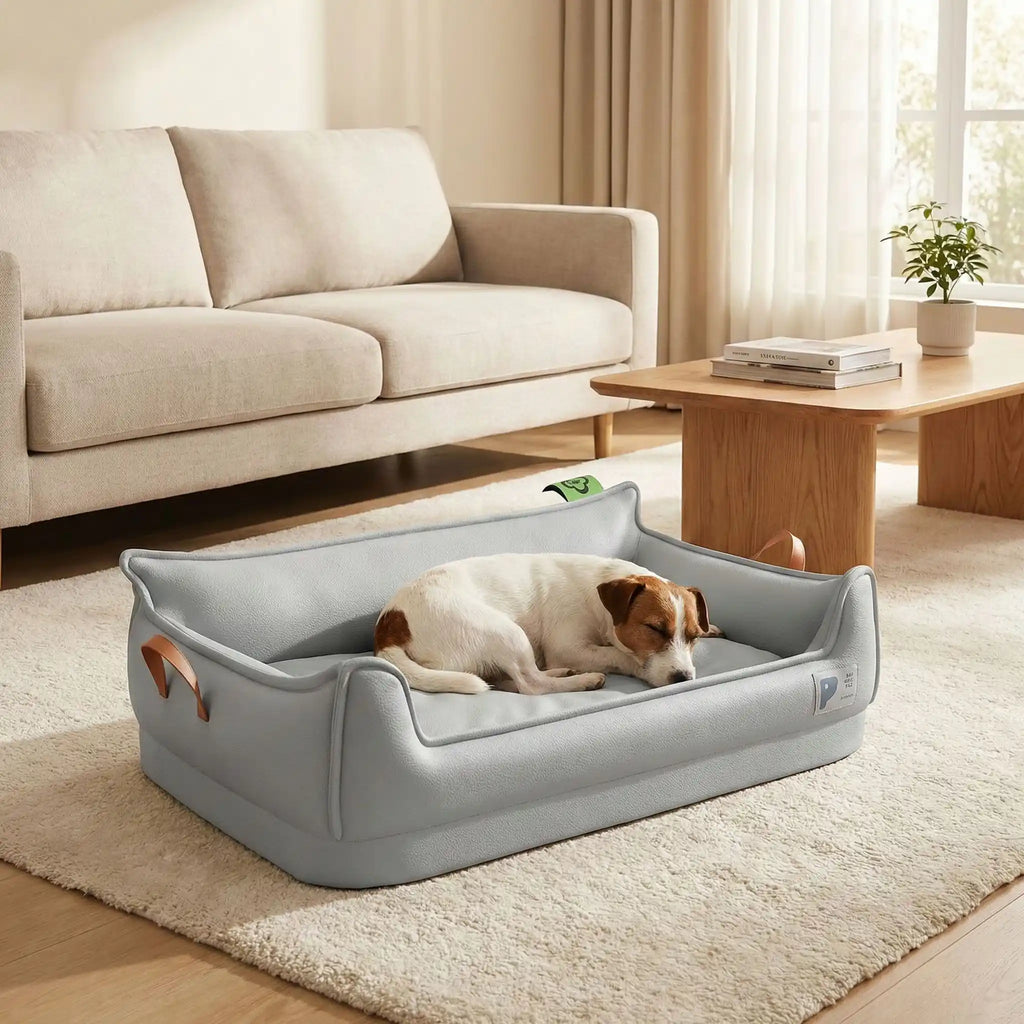 Panier orthopédique chien - DéhoussableToutou™