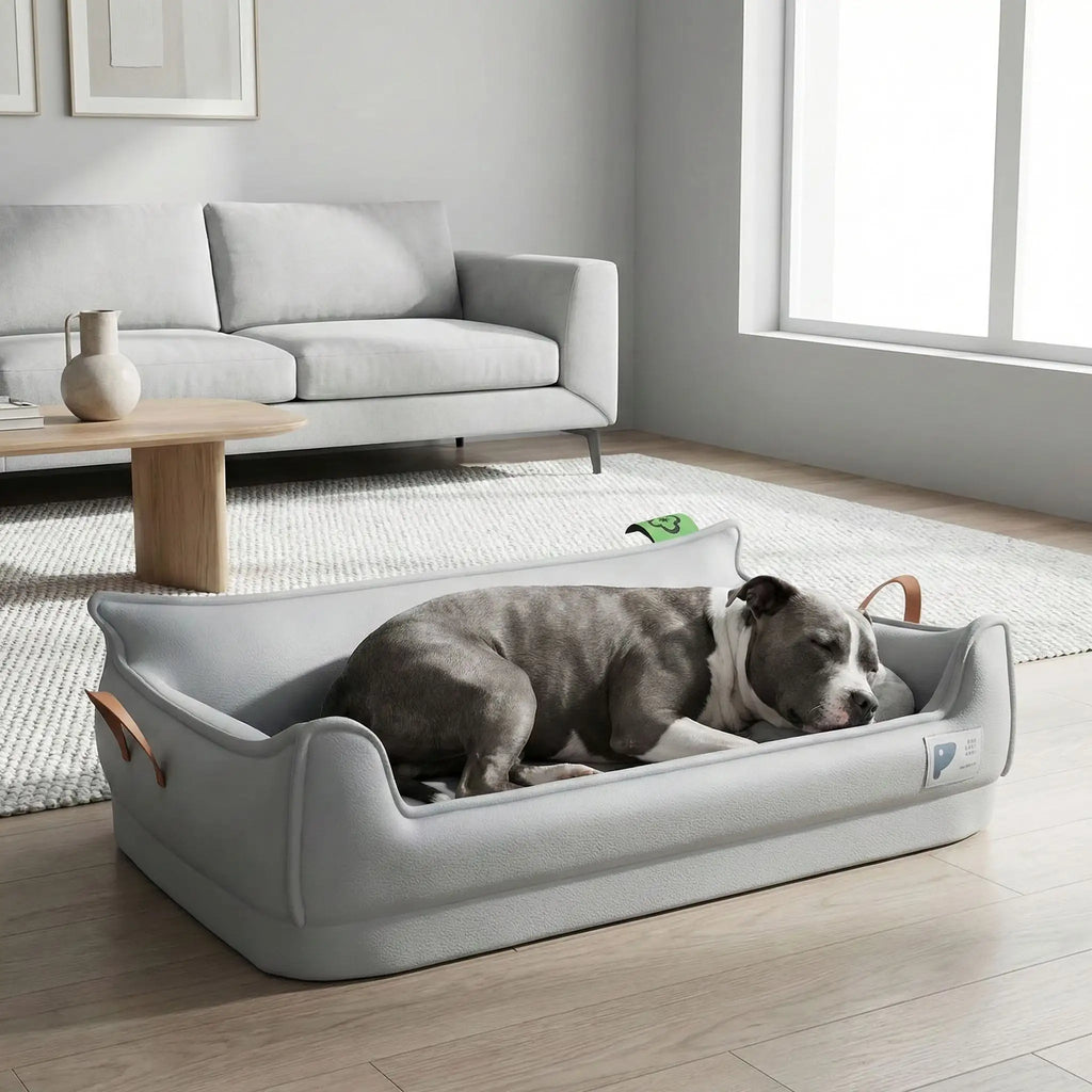 Panier orthopédique chien - DéhoussableToutou™