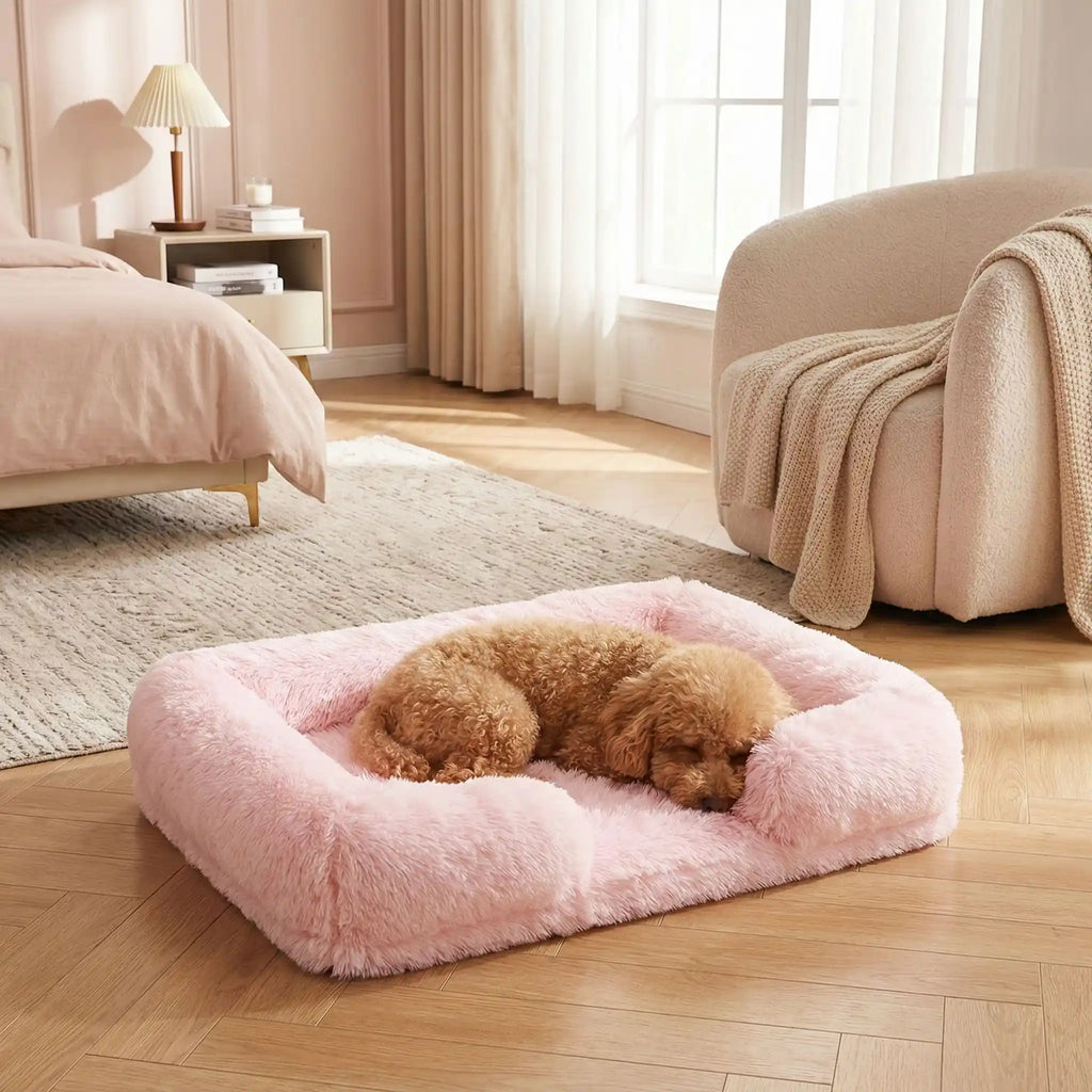 Panier orthopédique chien - PetitToutou™