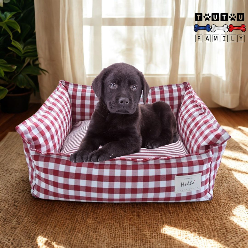 Panier petit chien -  DéhoussableToutou™