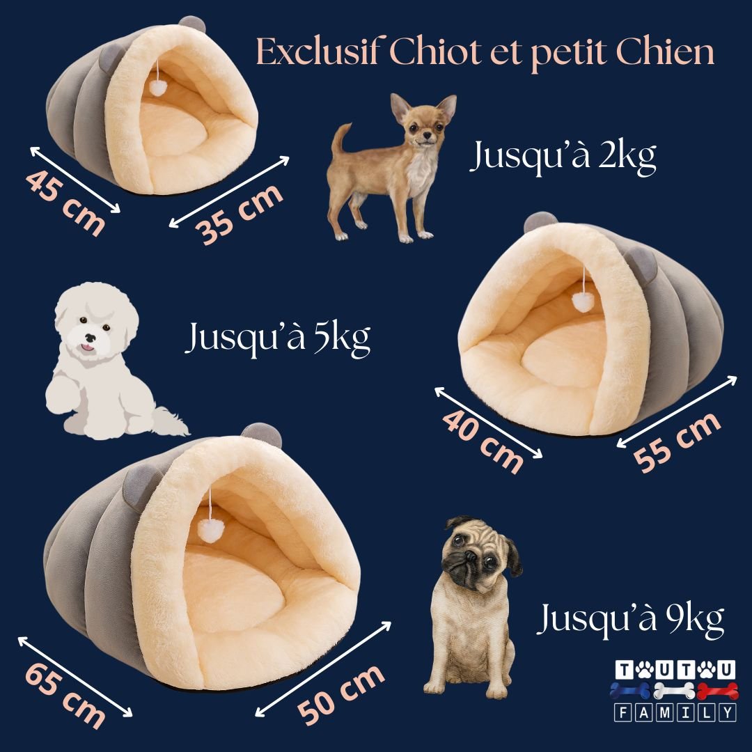 Panier petit chien - NicheToutou™