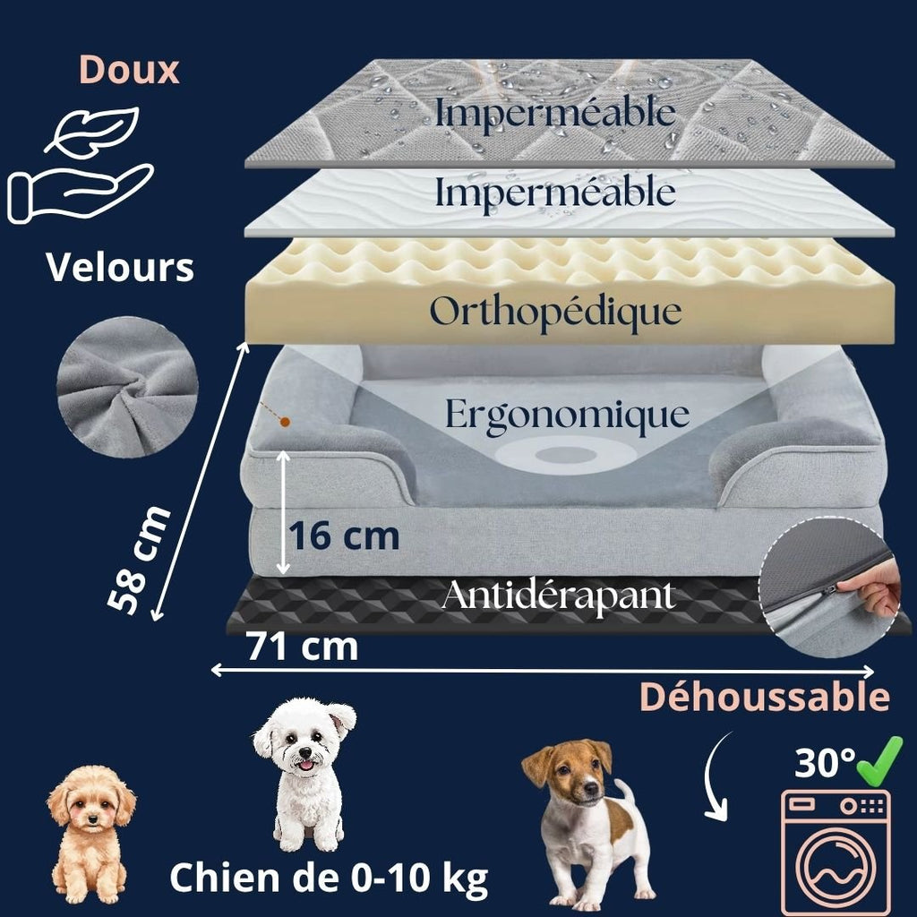 Panier petit chien - OrthopédiqueToutou™