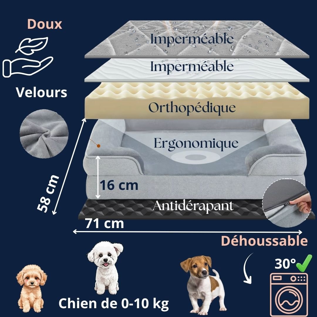 Panier petit chien - OrthopédiqueToutou™
