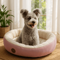Panier-pour-chien-lavable en machine-anti-stress-rembourrage 100% coton haute densité-avec rebord entourant-antidérapant-douillet chaud et sécurisant pour petit à chien de moyenne taille-moelleux-chaud-en-peluche-résistant aux griffes-un petit chien à poils épais assis confortablement sur le ventre contre l'arrondi rembourré en coton dans son lit ovale de couleur rose dans le salon de l'appartement