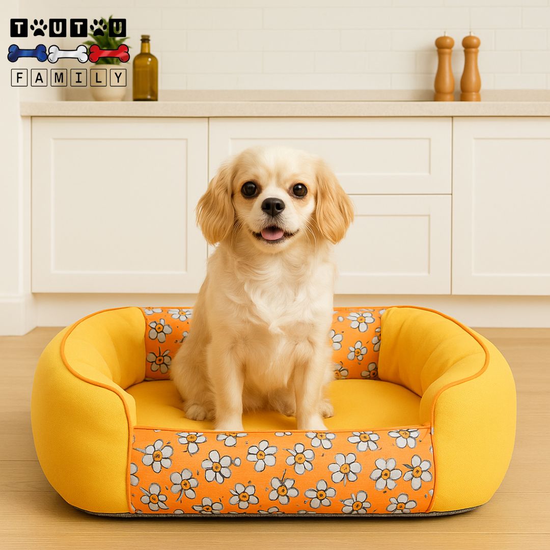 Panier pour chien - SolideToutou™