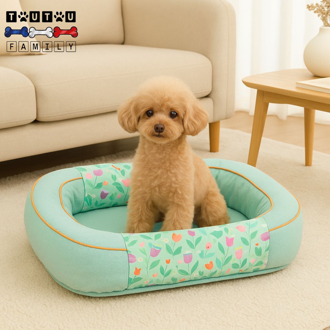 Panier pour chien - SolideToutou™