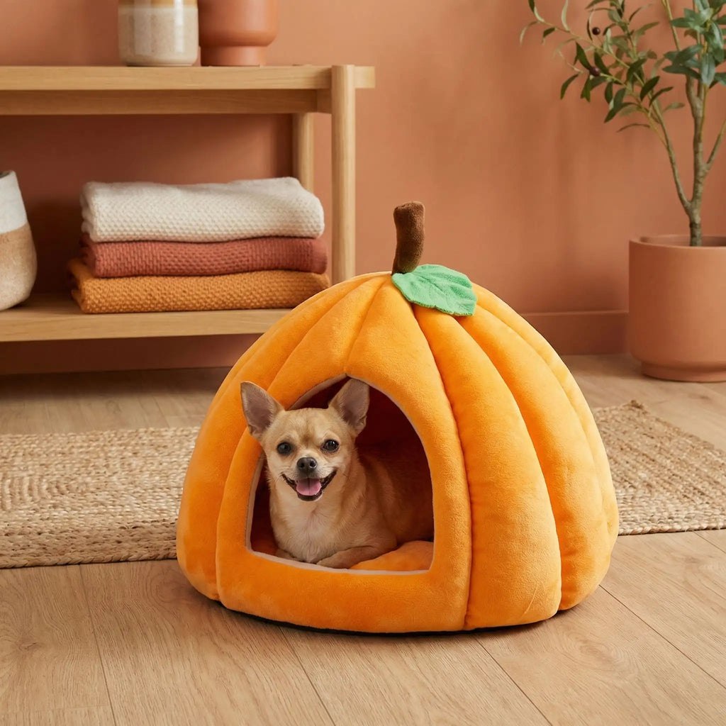 Panier pour chihuahua - MaisonToutou™