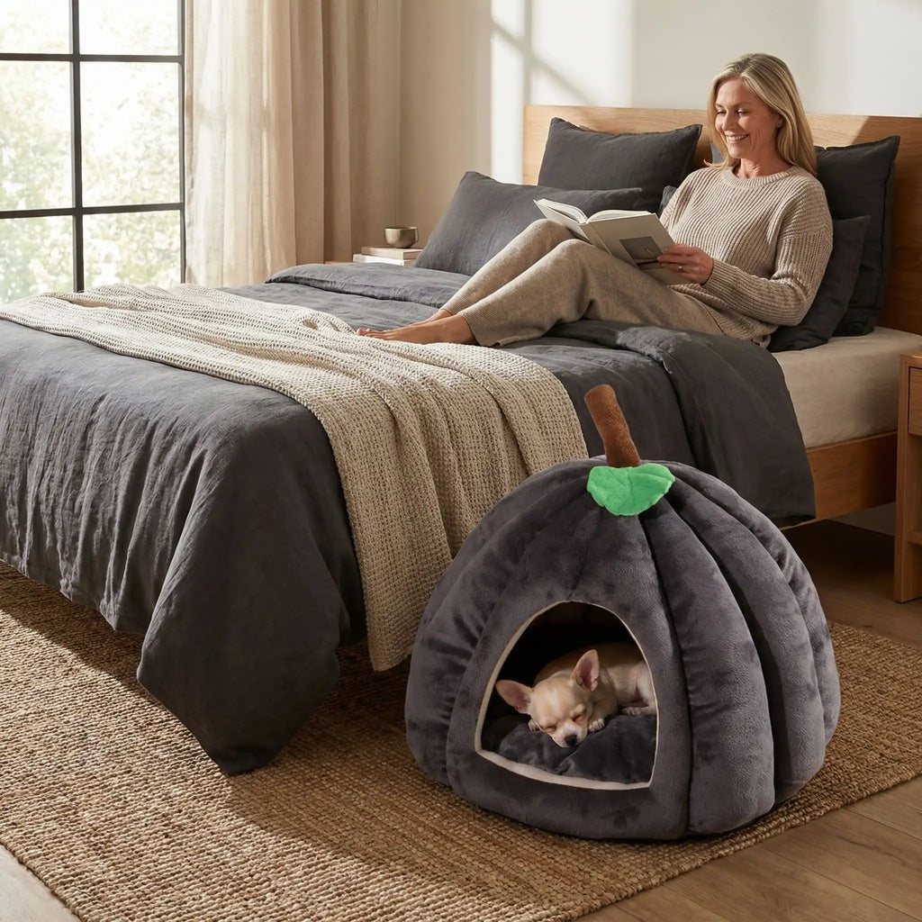 Panier pour chihuahua - MaisonToutou™