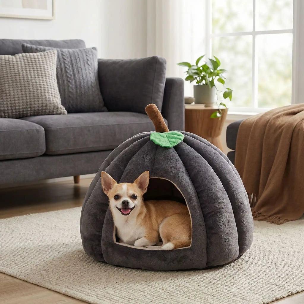 Panier pour chihuahua - MaisonToutou™