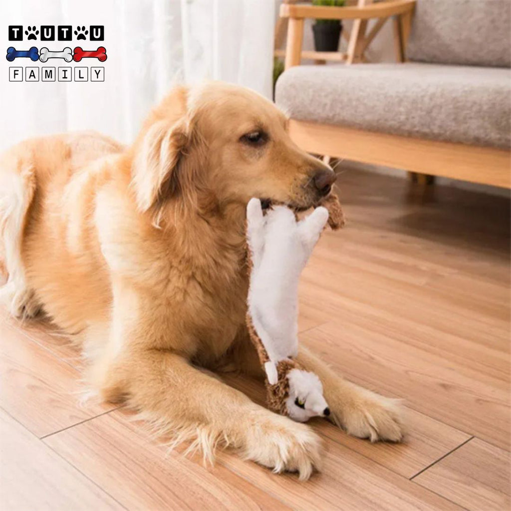 Peluche indestructible pour chien - AnimalToutou™