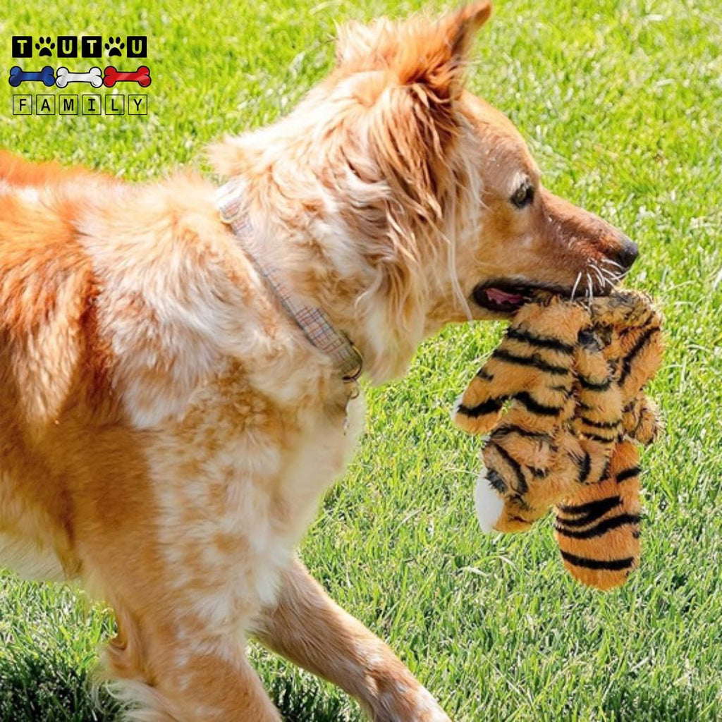 Peluche indestructible pour chien - AnimalToutou™