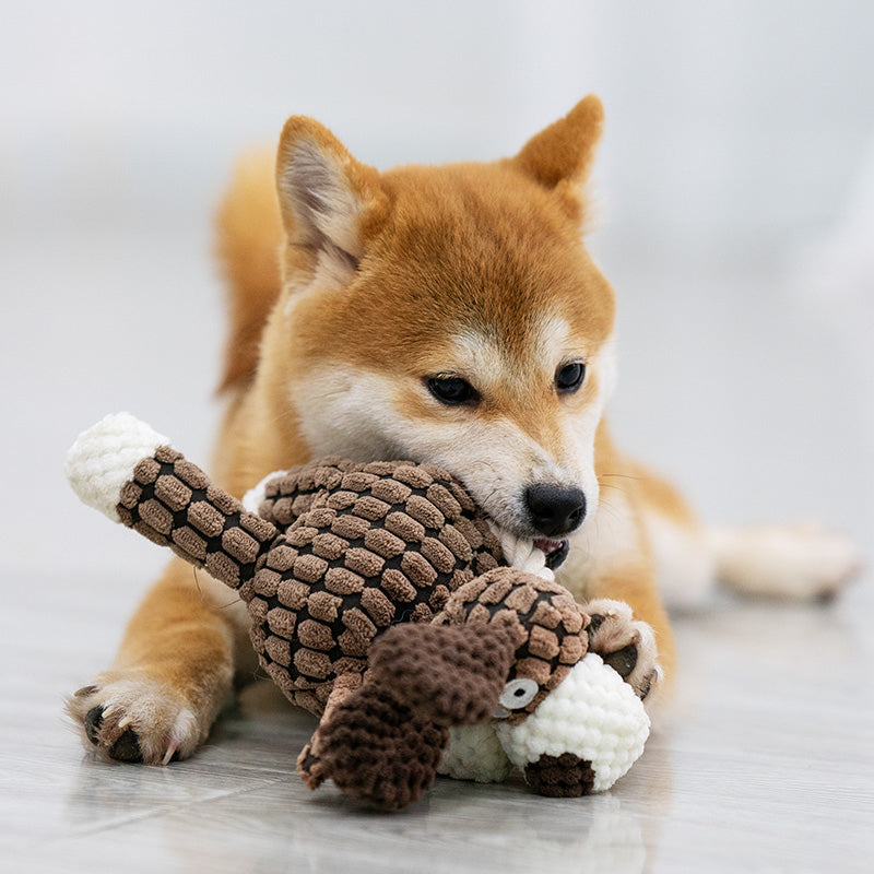 La peluche pour chien | PawCuddle™