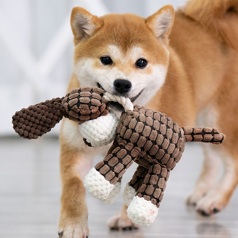 La peluche pour chien | PawCuddle™