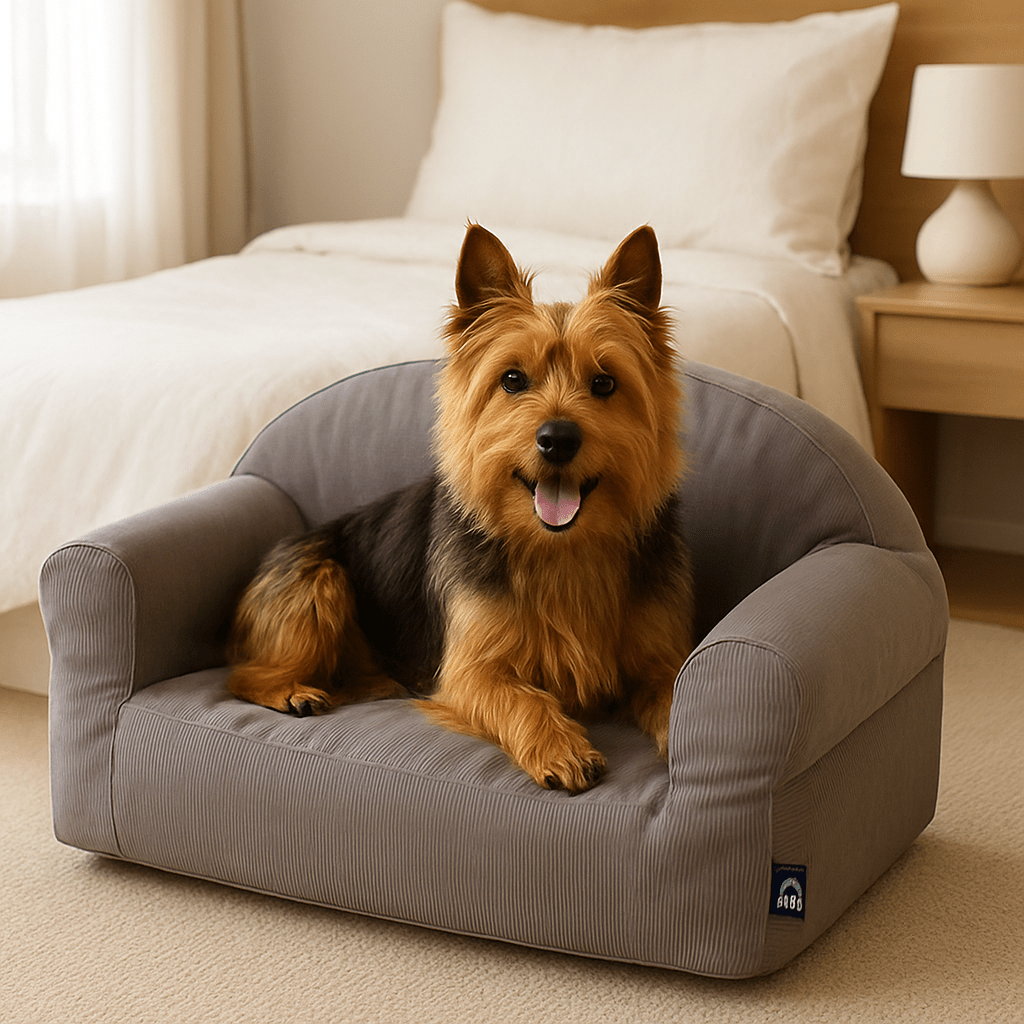Petit canapé pour chien - DéhoussableToutou™