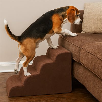 Petit escalier pour chien - DéhoussableToutou™