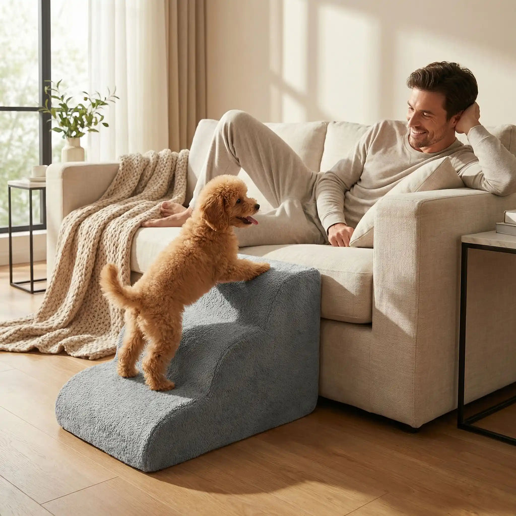 Petit escalier pour chien - MousseToutou™
