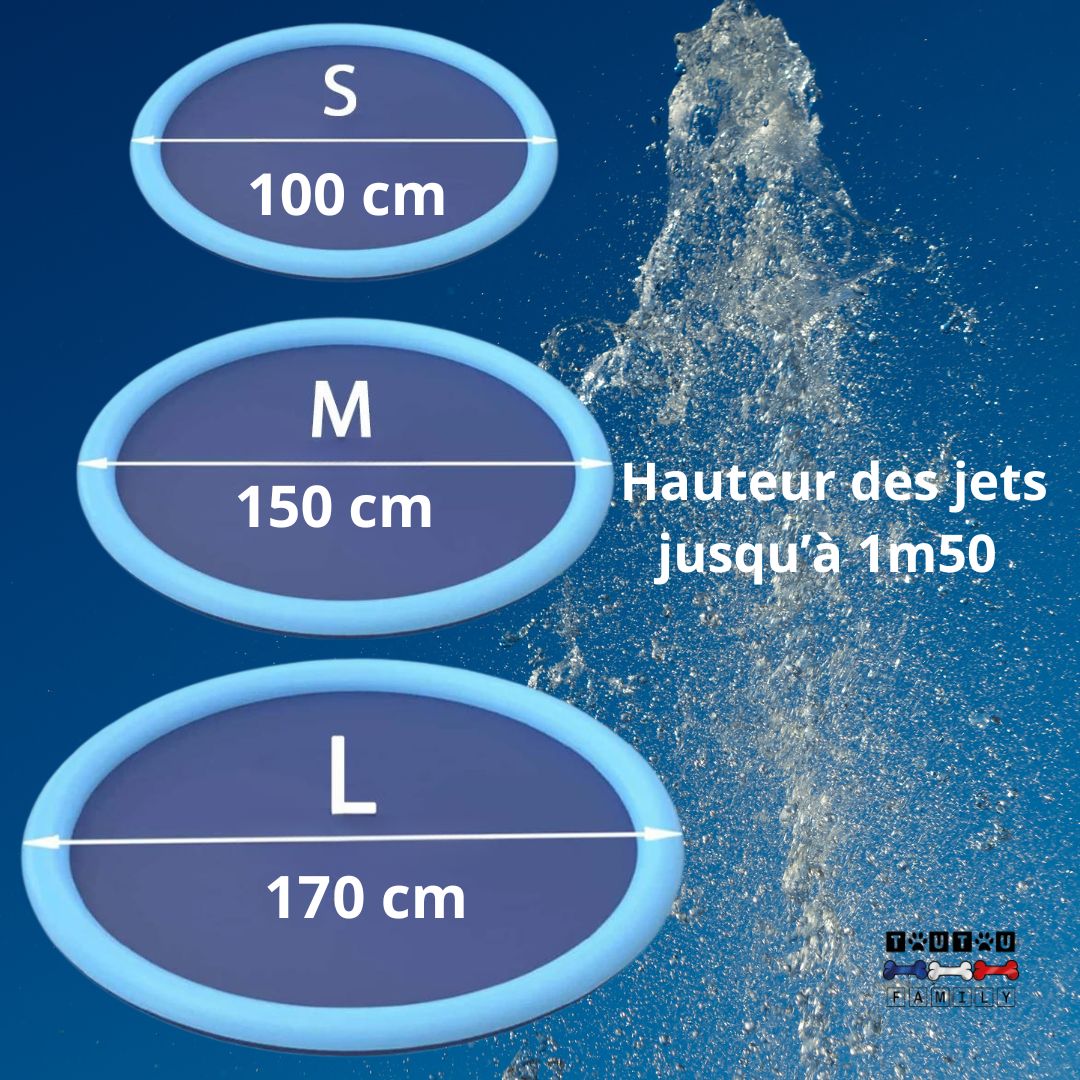 Piscine pour chien - SplashToutou™