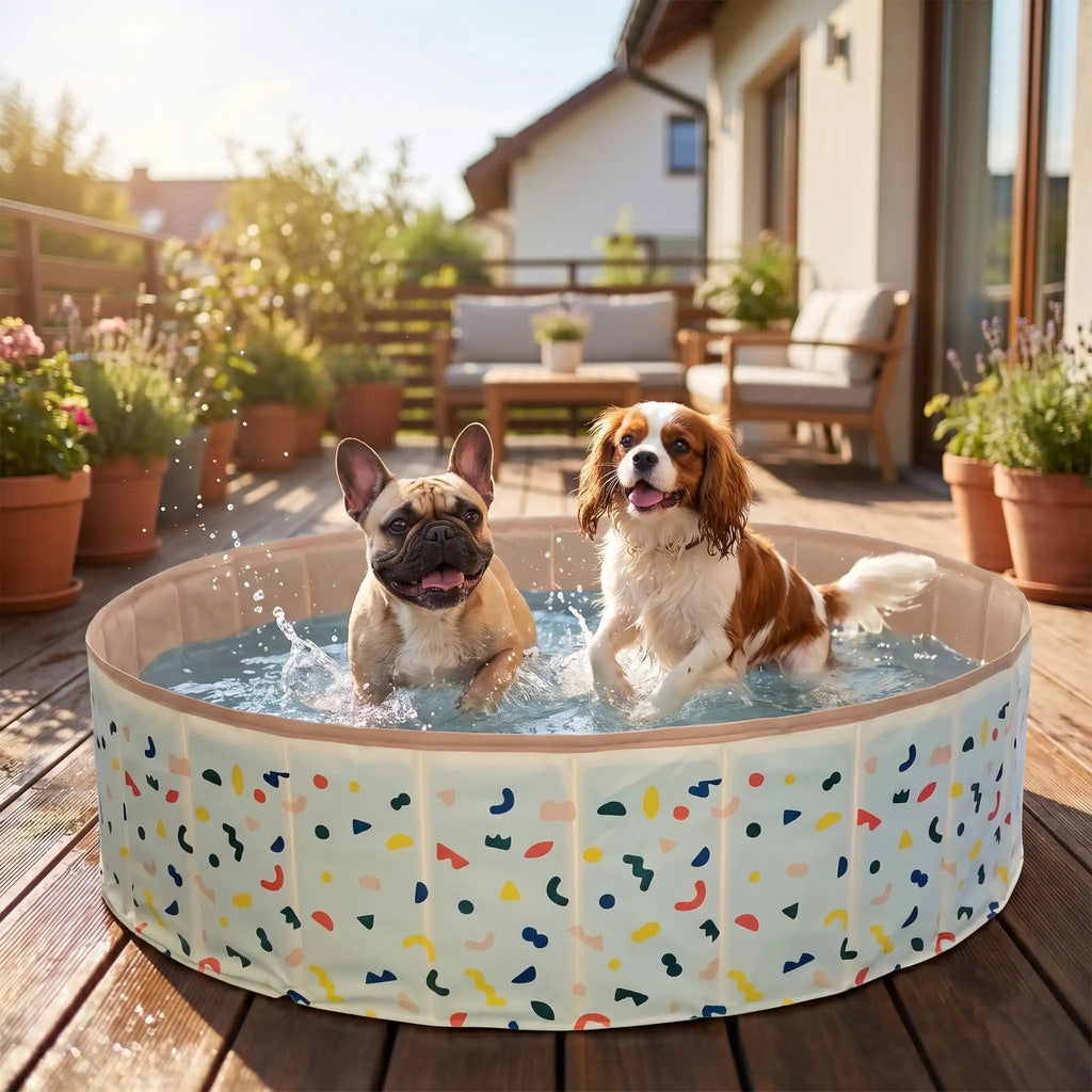 Piscine pour chien - RigideToutou™