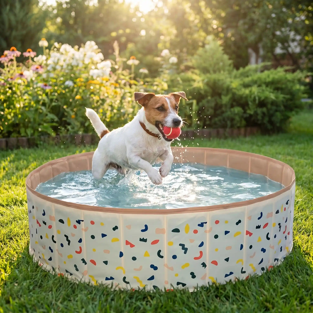 Piscine pour chien - RigideToutou™