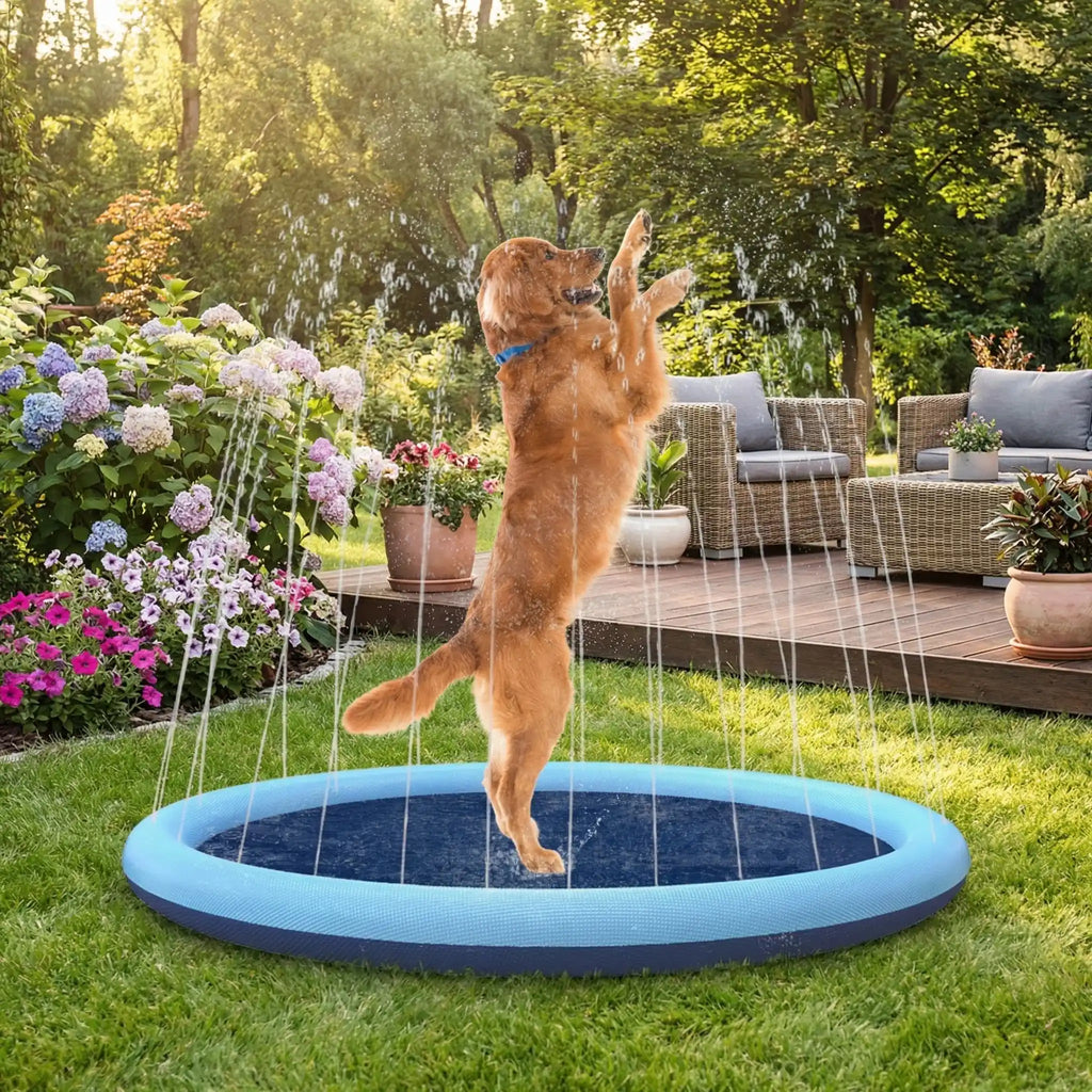 Piscine pour chien - SplashToutou™