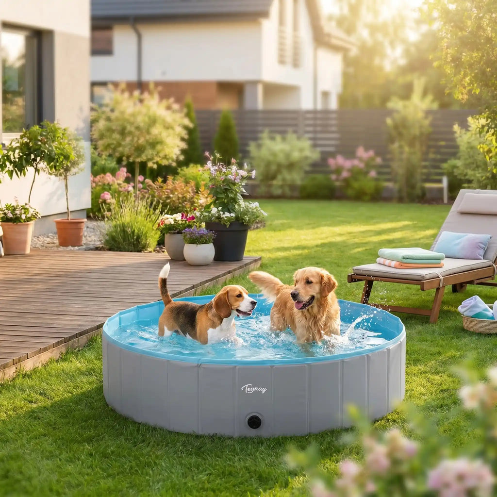 Piscine pour chien xxl - PliableToutou