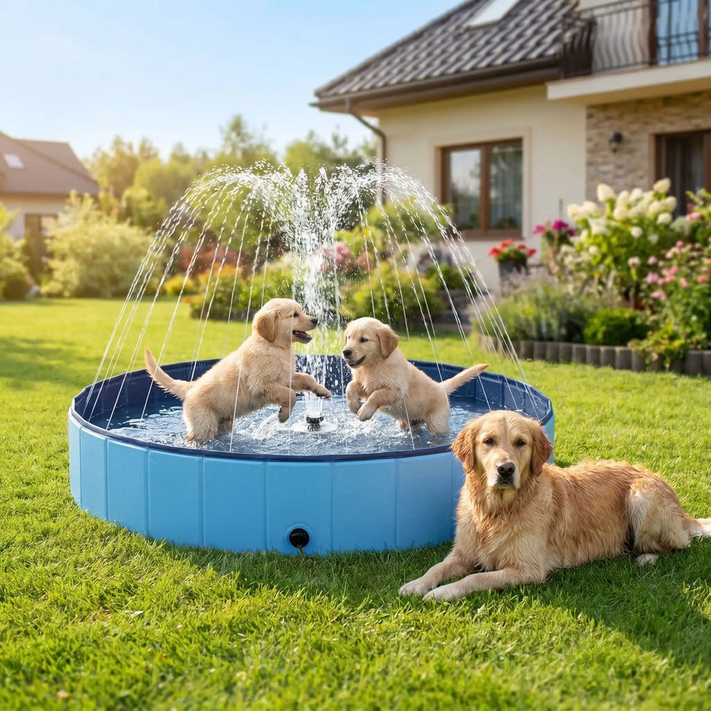 Piscine pour chien xxl - JetToutou™