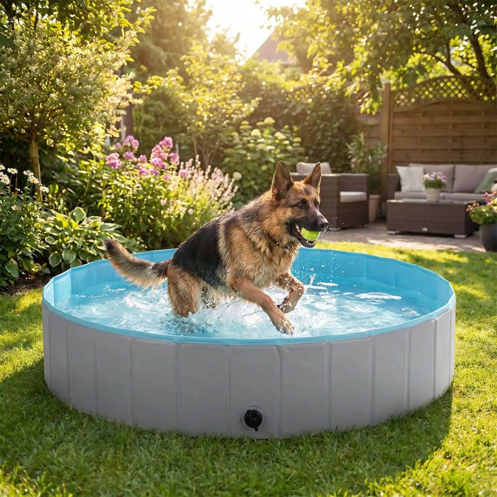 Piscine pour chien xxl - PliableToutou
