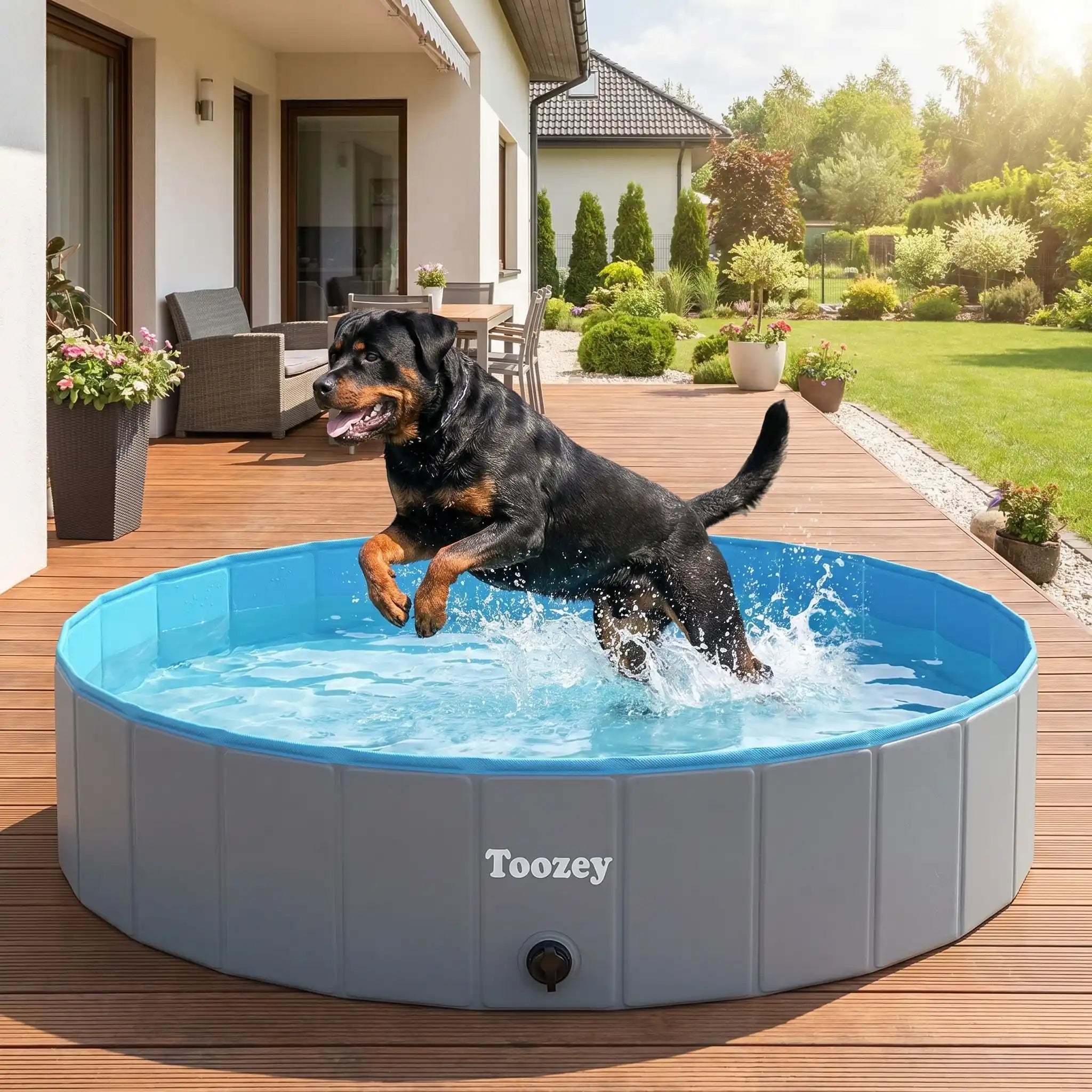 Piscine pour chien xxl - PliableToutou