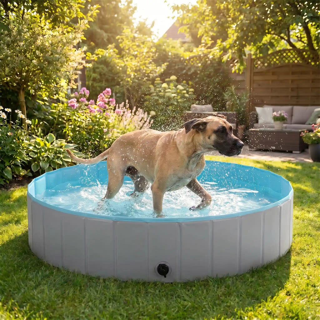 Piscine pour chien xxl - PliableToutou